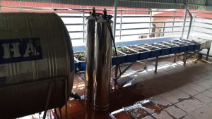 thiết bị lọc nước máy CMS 2502