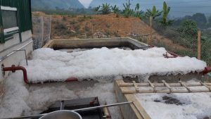 hệ thống xử lý nước thải chế biến cà phê