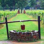 Tìm hiểu nguyên nhân gia đình bạn nên xây dựng hệ thống lọc nước giếng khoan