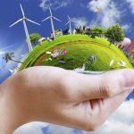 Những cách bảo vệ môi trường bạn có thể làm được tại nhà