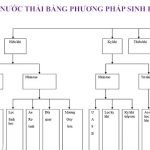 Tổng hợp 5 phương pháp xử lý nước thải sinh hoạt được dùng nhiều nhất
