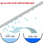 Cùng nhau khám phá xem nước lợ là gì?